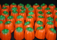 Pumpkins800x600