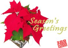 Seasonsgreetings