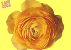 Yellowrose 1